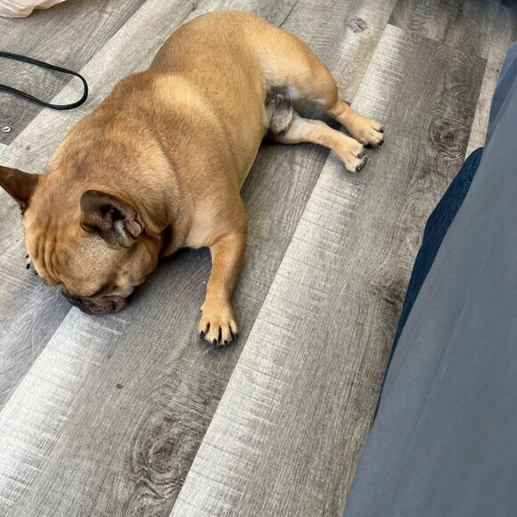 Meet your Posher, Sarah - Picture 8 of 10